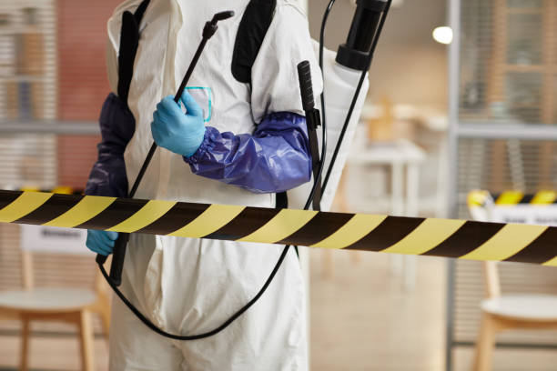 Professional Biohazard technician working in Washington, NH
